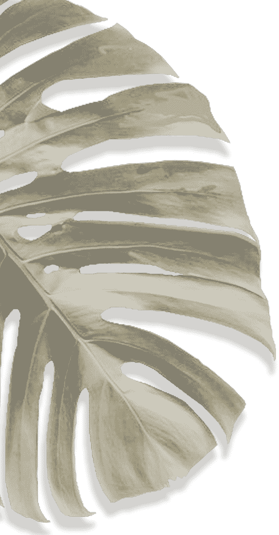 Movadex design agency sand monstera leaf decoration 1