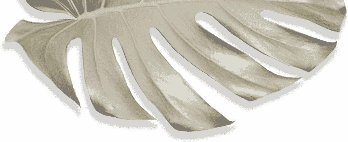 Movadex design agency sand monstera leaf decoration 5