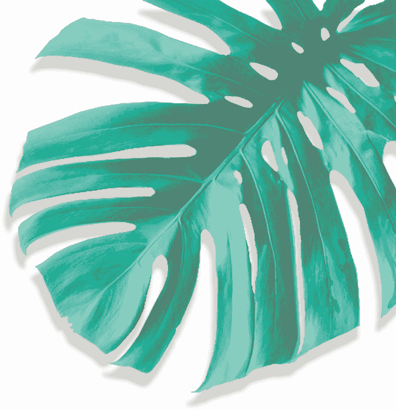 Movadex design agency turquoise monstera leaf decoration 4