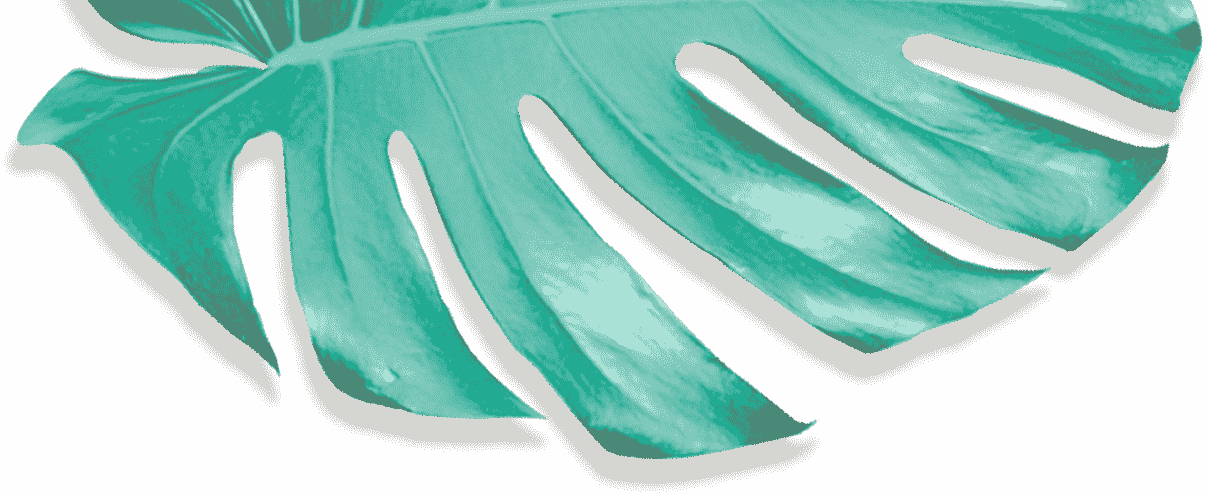 Movadex design agency turquoise monstera leaf decoration 5