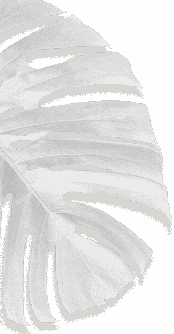 Movadex design agency white monstera leaf decoration 1