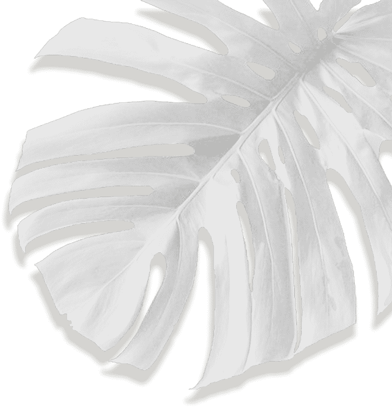 Movadex design agency white monstera leaf decoration 4